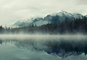 Papier Peint Panoramique XXL Nature Forêt de montagne dans le brouillard - Photo Murale Intissé