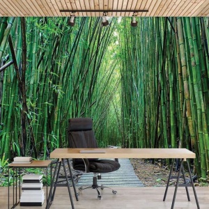 Papier Peint Panoramique XXL Nature Promenade dans un jardin zen de bambou - Photo Murale Intissé - Img 2
