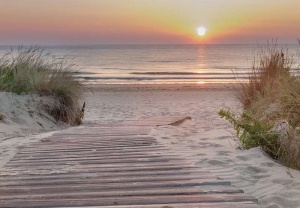 Papier peint Photo Murale Mer - Coucher de soleil sur une plage - 13048