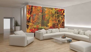 Papier Peint Panoramique XXL Nature Chemin de la forêt d'automne - Photo Murale Intissé - 4-002 - Img 2