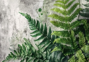 Papier Peint Panoramique XXL Nature Feuille de fougère - Photo Murale Intissé