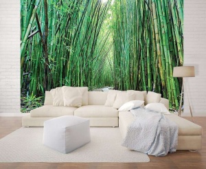 Papier Peint Panoramique XXL Nature Promenade dans un jardin zen de bambou - Photo Murale Intissé - Img 3