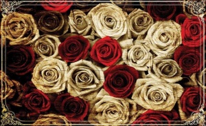 Papier peint photo mural XXL Fleurs - Cinquante roses de toutes les couleurs - 3101