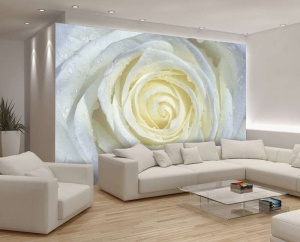 Papier peint photo mural xxl fleurs roses crémeuses - Intissé - Img 2