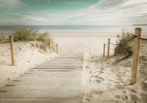 Papier peint Photo murale Mer - Chemin vers la plage de sable fin - 11597