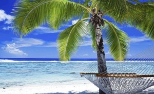Papier peint Photo Murale Mer - Palmiers tropicaux sur une plage de sable blanc - 578