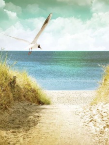 Papier peint - Plage et dune de sable - 11595A - Img 1