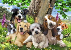papiers peints pour chambre d'enfant - Chiens prenant la pose - 12877 - Img 1