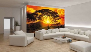 Papier Peint Panoramique XXL Coucher de soleil dans la savane, la nature de l'Afrique - Photo Murale Intissé - Img 2