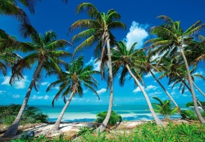 Papier Peint Panoramique XXL Mer Landscape Palm Beach Paradise Ocean - Photo Murale Intissé