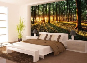 Papier Peint Panoramique XXL Nature Rayons de soleil traversant la forêt - Photo Murale Intissé - Img 2