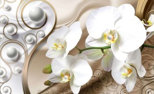 Papier Peint Photo Murale XXL Fleurs d'art - Orchidée blanche - Intissé -2952