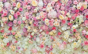 Papier Peint Photo Murale XXL Fleurs mille roses - Intissé