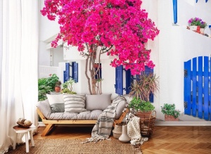 Papier Peint Photo Murale XXL Villes Rue Arbre Fleurs- 14201 - Img 2