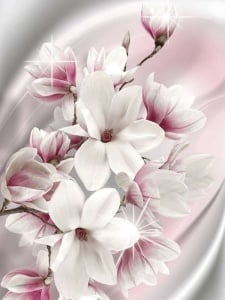 Image murale de motifs floraux tendres - 3017A