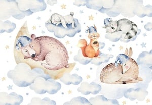 Papier peint d'animaux pour chambre d'enfants - Dormir dans les nuages - 13671 - Img 1