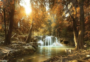 Papier Peint Panoramique XXL Nature Forêt calme avec petite cascade - Photo Murale Intissé- 10470