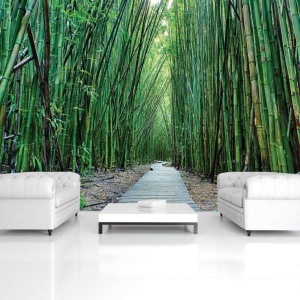 Papier Peint Panoramique XXL Nature Promenade dans un jardin zen de bambou - Photo Murale Intissé - Img 4