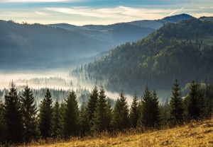 Papier peint Photo Murale Paysage de montagnes - 14537