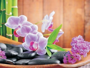 Papier Peint Photo Murale XXL Fleurs zen d'orchidées pourpres - Intissé
