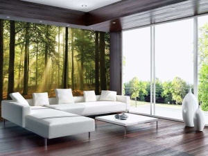 Papier Peint Panoramique XXL Nature Rayons de soleil dans la forêt - Photo Murale Intissé - 10331 - Img 2