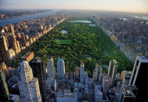 Papier Peint Photo Murale XXL Villes Central Park à New York - 14616