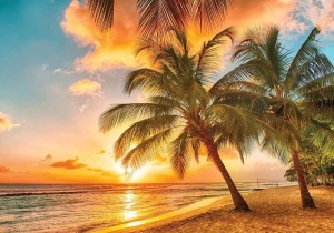 Papier Peint Panoramique XXL Mer Palmiers sur la plage au coucher du soleil - Photo Murale Intissé