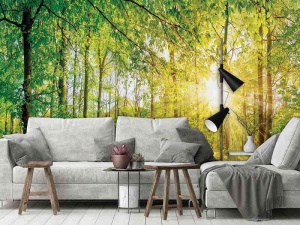Papier Peint Panoramique XXL Nature Rayons de soleil à travers la forêt verte - Photo Murale Intissé - Img 2
