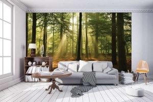 Papier Peint Panoramique XXL Nature Rayons de soleil dans la forêt - Photo Murale Intissé - 10331 - Img 3