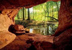 Papier Peint Panoramique XXL Nature Vue 3D d'une grotte-forêt - Photo Murale Intissé