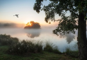 Papier peint Photo Murale Matin au bord du lac - 14521