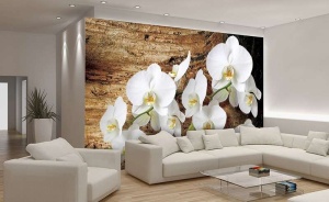 Papier Peint Photo Murale XXL Fleurs d'orchidées blanches - Intissé - Img 2