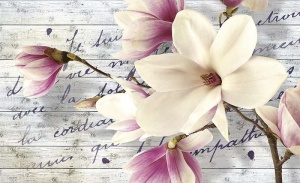 Papier peint Photo Murale XXL Fleurs Magnolia - 2878