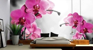Papier Peint Photo Murale XXL relaxant - Brindilles fleuries orchidées - Intissé - Img 2
