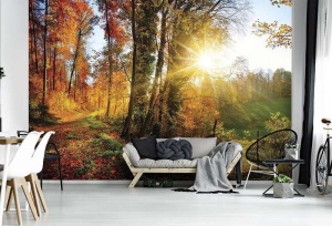 Papier Peint Panoramique XXL Nature Forêt d'automne colorée au lever du soleil - Photo Murale Intissé - Img 2