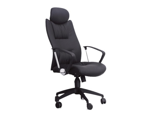 SCAUN DIRECTORIAL Q-091