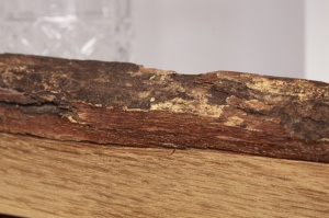 DULAP LIVING, WILD OAK 100CM, COD 40067, LEMN MASV SI MDF STEJAR - Img 4