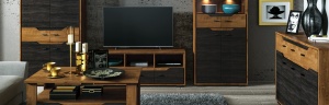 DULAP SHELVE 01 DIN PLACI LAMINATE DE CALITATE CU 2 USI CULOARE STEJAR