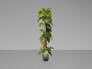 PLANTA ARTIFICIALA, TARO 150CM, DIN PVC, SCHULLER