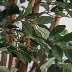 PLATA ORNAMENTALA, FICUS, REF. 37730, CONFECTIONAT DIN POLIETILENA, VICAL , STIL MODERN - Img 3