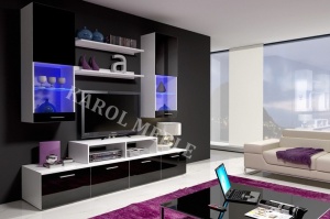 ANSAMBLU TV MINI II