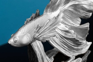 DECORATIUNE, FISH CROWNTAIL 35CM, COD 43172, POLIRASINA, DIVERSE NUANTE - Img 3