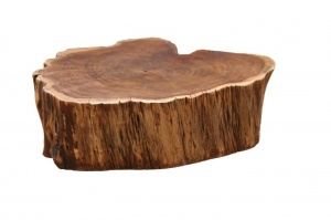 MASUTA DE CAFEA DIN LEMN MASIV DE SALCAM GOA 40139 STIL RUSTIC