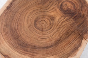 MASUTA DE CAFEA GOA 38608 DIN LEMN MASIV DE SALCAM DESIGN RUSTIC - Img 3