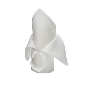 NAPRON PENTRU CATERING 50X50 ALB MAT
