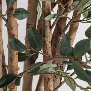 PLATA ORNAMENTALA, FICUS, REF. 37730, CONFECTIONAT DIN POLIETILENA, VICAL , STIL MODERN - Img 4