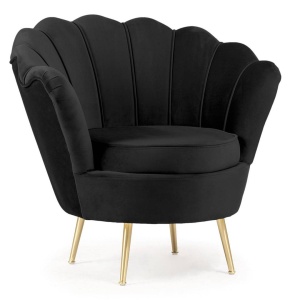 FOTOLIU MUSZELKA NEGRU/AURIU, STIL MODERN