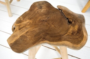 MASUTA DE CAFEA ROOT 36580 DESIGN RUSTIC UNICAT - Img 2