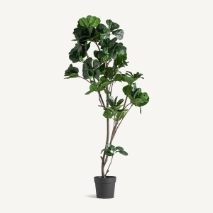 PLATA ORNAMENTALA, FICUS, REF. 37727, CONFECTIONAT DIN POLIETILENA, VICAL , STIL MODERN