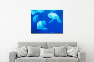 TABLOU DECORATIV MEDUSE 37413